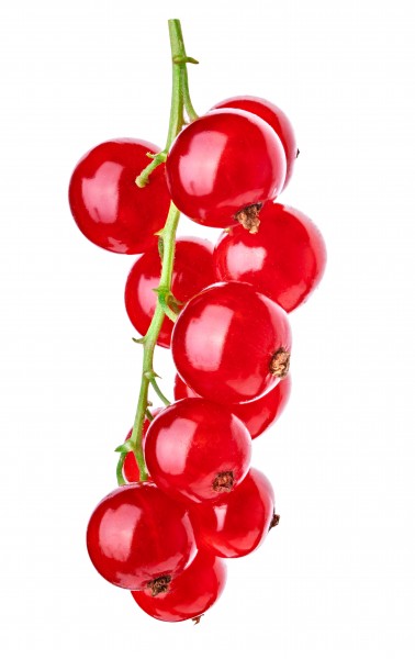 Johannisbeeren 125g - Schale